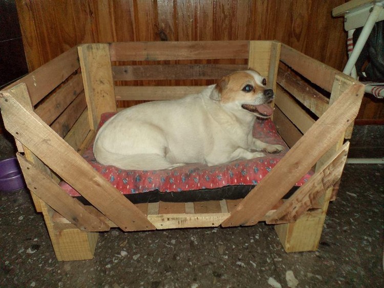 Wooden Pallet Dog Bed Plans Pallet Wood Projects