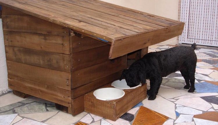 Pallet Dog House Idea