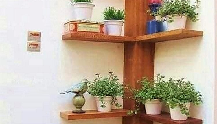 Corner Wall Shelving Pots Stand