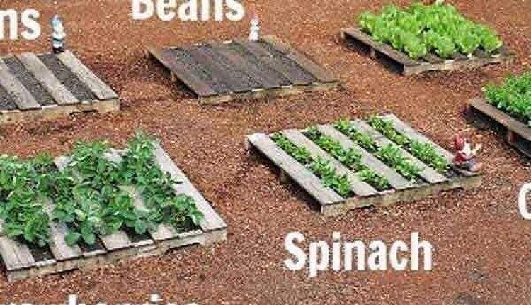 Pallet Planting Idea