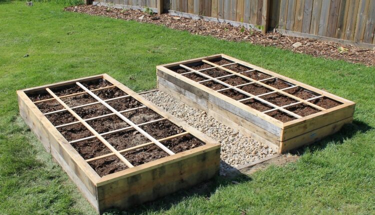 Pallet Rasied Garden Vegetable Garden