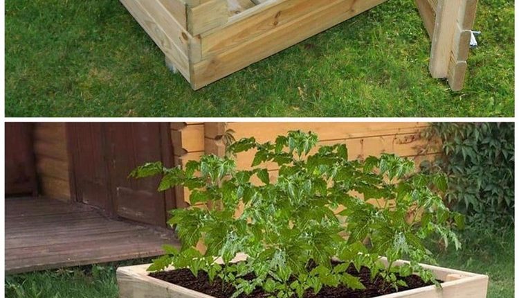 Potatoes Planter Idea
