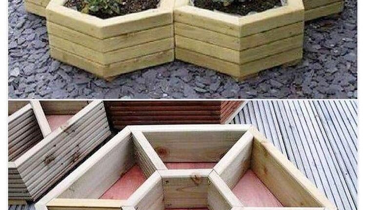 Planter Idea