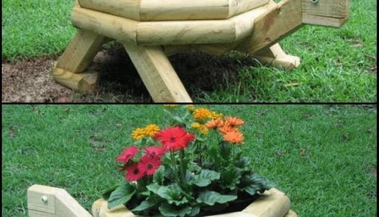 Garden Turtle Planter