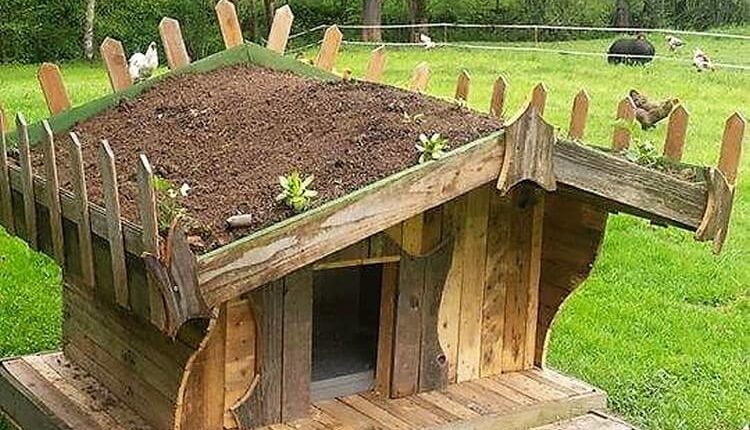 Pallet Garden Creation